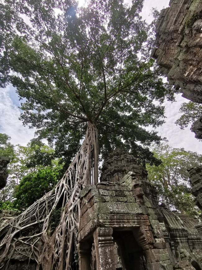 初めてのカンボジア・ベトナム家族旅行③