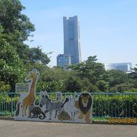 横浜：野毛山動物園 猛暑の一日