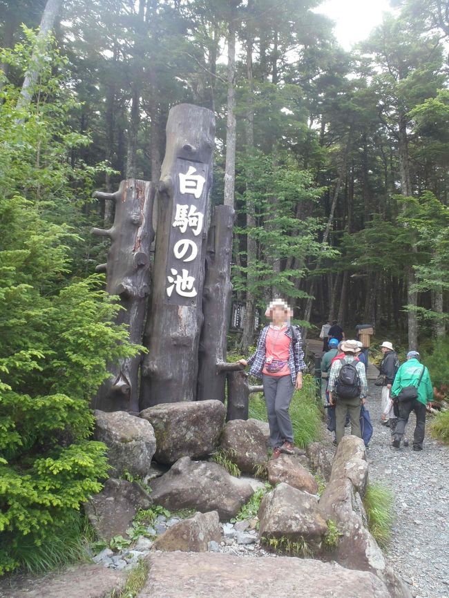 北八ヶ岳デビュ―は「にゅう」から