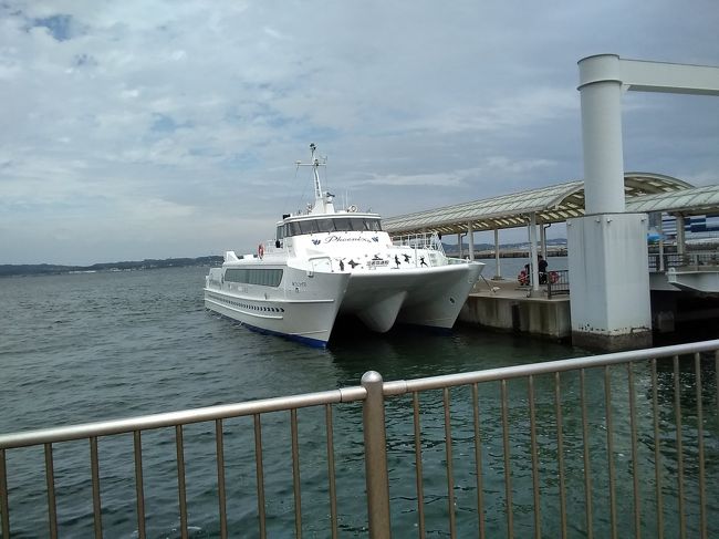 一生に一度は行きたかったお伊勢参り、<br /><br />7月9日:移動日。千歳空港からセントレア空港へ2時間余り。セントレアから高速船で伊勢湾を横断して津市へ、近鉄で伊勢市へ行ってみる。<br /><br />伊勢市駅前から参道が続いており、ゆっくり歩いて10分位で行ける。駅前のコンフォートホテルにチェックインしてすぐに外宮参りに出る。<br /><br />入口の火除橋からすいこまれるように広い参道に沿って歩き出す。参道の両側には樹齢数百年の杉や檜の大木が参拝者を包むように静かにどっしりとそびえ立つ。なぜか神聖な風が吹く。蝉の合唱が時々大きくなる。<br />五時半を過ぎていたが、大きな鳥居を2つくぐって、正宮(しょうぐう)は突き当りの右手、白い布がかかっておりそこに向かってお参りしてくださいと教えてくれる。ここだけは写真撮影は禁止。<br /><br />外宮参道にある鈴木水産で刺身盛り合わせ、手ごね寿司とサザエのつぼ焼きの夕食。まずは安着祝。<br /> <br /><br />
