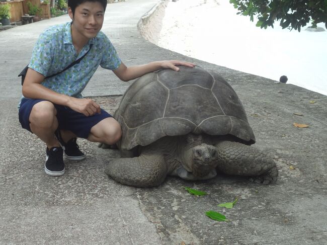 セーシェルで出会った風景を24枚の写真で紹介します。<br /><br />NRT-CMB *SRILANKAN<br />CMB-S E *SRILANKAN<br />S E-CMB *SRILANKAN<br />CMB-NRT *SRILANKAN<br /><br />TICJPY1010