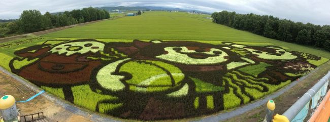 北海道の旅♪涼をお届けできたら(*^_^*)<br /><br />苫小牧までは、新日本海フェリーのすずらんで来ました<br />お盆ということで満員です<br />梅雨明けから連日35度超えの街を脱出して北海道へキャンプの旅へ<br />期待どうりに初日の気温は、17度で始まりました。快適快適o(^-^)o<br />本州の台風の影響で雲が垂れ込めていますが、長袖でちょうどいいです<br />JAたいせつの田んぼアートも立ち寄ります♪