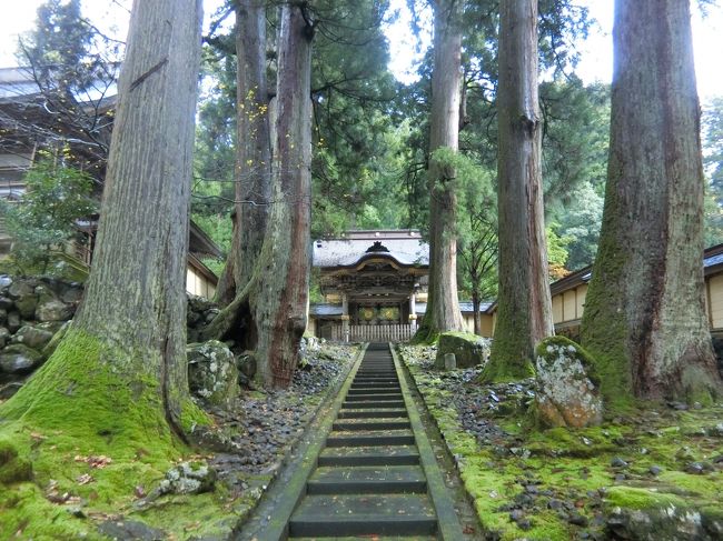 初福井の旅。福井にはすごい遺跡があるぞ。東尋坊、永平寺、恐竜博物館編②