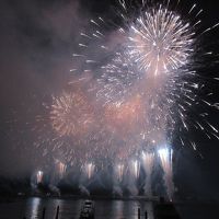 夏休み　伊豆下田&#12316;伊豆高原&#12316;熱海３泊４日  3日目　伊豆シャボテン公園、熱海の花火大会に感動