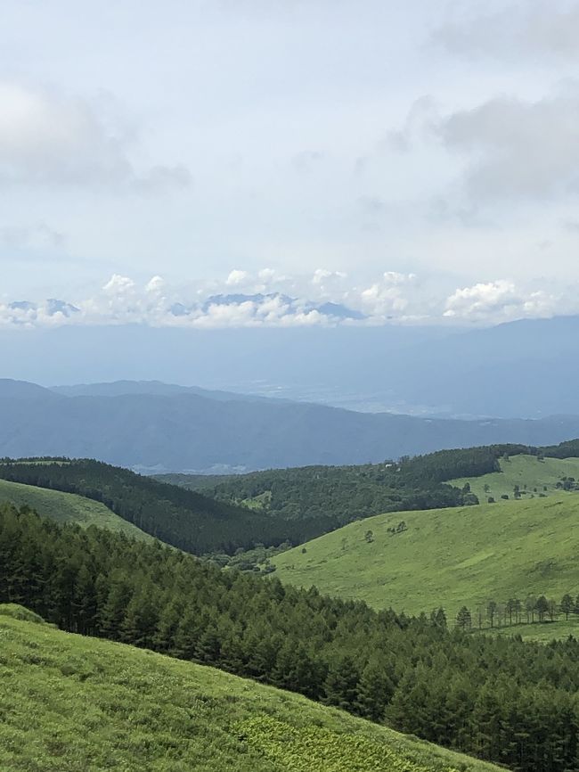 美ヶ原高原～霧ヶ峰～白樺湖のドライブ記録です。<br /><br />前回（2019/GW）の美ヶ原高原は草木が寂しい色合いだったので、夏の高原を楽しみたくて行ってきました。あいにく霧が立ち込めていて青空は見えませんでしたが、冷んやりとした空気はとても美味しくて、放牧中の牛や馬、深緑の高原、高原植物に癒されてきました。<br /><br />美ヶ原高原より標高が低い霧ヶ峰からの景色は青空が広がり最高でした！<br /><br />白樺湖はファミリーや夏合宿の学生さんで賑わっていました。<br /><br />のんびりとした１日の備忘録です。<br />