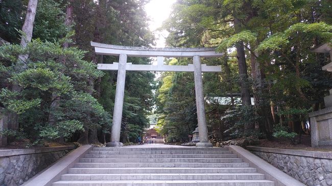 夏休み第一弾♪<br />初めてのふるさと納税の恩恵でいつもの湯沢と、足をのばして弥彦神社まで行ってきました。<br />暑かった！