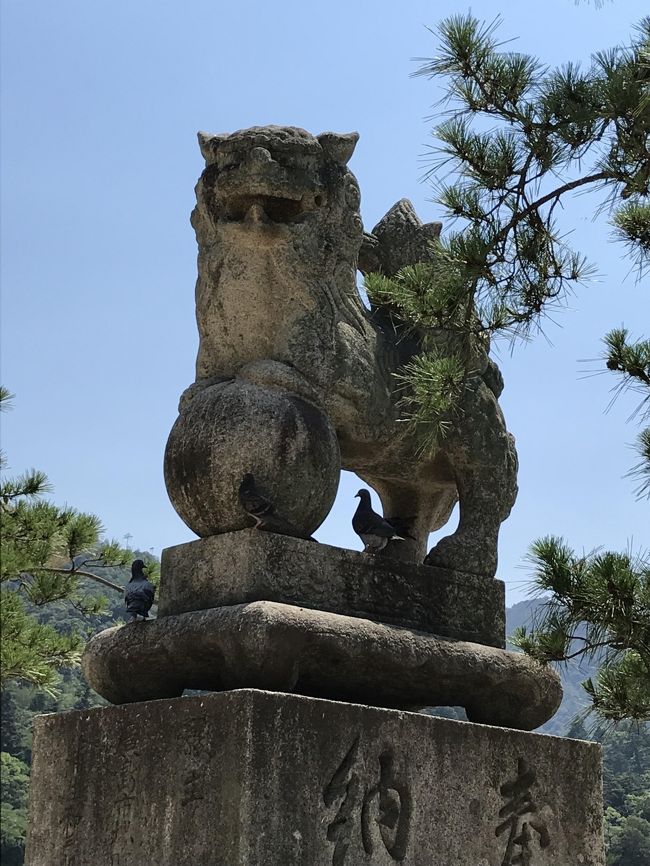 猛暑の宮島は外国人の方が多かった。落ち着く神社。弥山に行けなかったのが残念。