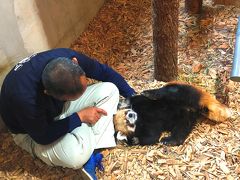 茶臼山動物園　毎夏恒例となったナイトズー訪問！！ ロン君とＴキーパーさんのふれあいを見れて心が温かくなりました