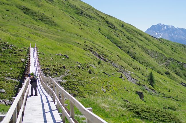   今年の年1回の海外旅行は、家内がｽｲｽに行きたいと言うので、久しぶりのｽｲｽです。最初はＨ交通社のツアー（ﾂｴﾙﾏｯﾄ・ｸﾞﾘﾝﾃﾞﾙﾜﾙﾄ）を予約したのですが、キャンセルし個人旅行に変更しました。結局、今年も私が飛行機・ﾎﾃﾙ・ﾊｲｷﾝｸﾞｺｰｽ（エンガディン地方）を決めました。<br />　幸いにも雲一つない快晴に恵まれ、今年も去年と同様フラワーハイキングを楽しみました。ただ2回もハイキングルートを間違ってしまい、予定のコースは歩けませんでしたが。<br /><br />   －－－ 日　程 －－－<br /><br />□ 6月24日（月）成田発10:10（ｽｲｽ航空；LX161） → ﾁｭｰﾘｯﾋ着15:35 【ﾁｭｰﾘｯﾋ泊】<br />□ 6月25日（火）AM：ﾁｭｰﾘｯﾋ観光　→　PM：ｻｳﾞｫﾆﾝへ 　　 　【Tinizong-Rona泊】<br />□ 6月26日（水）ﾊｲｷﾝｸﾞ：Tinizong-Rona ～ AlpFlix ～ Sur 【ビビオ泊】　<br />□ 6月27日（木）ﾊｲｷﾝｸﾞ：ﾋﾞﾋﾞｵ ～ PizLughin ～ ﾏﾛﾔ峠 　  【マロヤ泊】<br />□ 6月28日（金）AM：ﾊｲｷﾝｸﾞ,ﾏﾛﾔ峠 ～ Hotel Fex、PM → ﾂｴﾙﾈｯﾂへ 【ﾂｴﾙﾈｯﾂ泊】<br />■ 6月29日（土）AM：ﾊｲｷﾝｸﾞ,ｼｭｸｵｰﾙ ～ ｾﾝﾄ、PM:ﾀﾗｽﾌﾟ城見学　 　  【ﾂｴﾙﾈｯﾂ泊】<br />□ 6月30日（日）AM：ﾐｭｽﾀｲｱ修道院へ、PM：ﾊｲｷﾝｸﾞ：buffalora～ 　【ﾂｴﾙﾈｯﾂ泊】<br />□ 7月 1日（月）AM:ﾊｲｷﾝｸﾞ:ｸﾞｱﾙﾀﾞ ～ ｱﾙﾃﾞｯﾂ、PM →　ﾁｭｰﾘｯﾋへ   【ﾁｭｰﾘｯﾋ泊】<br />□ 7月 2日（火）ﾁｭｰﾘｯﾋ発13:00（スイス航空；LX160）→  　　　 【機中泊】<br />□ 7月 3日（水）成田着 7:50<br /><br />　スイスへ来て以来ずっと快晴の暑い日が続いています。今日からﾂｪﾙﾈｯﾂから下流のｳﾝﾃｰｴﾝｶﾞﾃﾞｨﾝのﾊｲｷﾝｸﾞ・観光です。今日は、ｽｲｽでも有名な温泉地シュクオールへ行きますが、私たちは温泉には入らずｺﾞﾝﾄﾞﾗに乗りｾﾝﾄへﾊｲｷﾝｸﾞです。その後、タラスプ城を見学しました。<br /><br />　<br />