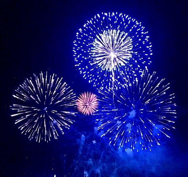 2019/7/27~28 隅田川の花火鑑賞と下町周辺の食べ歩きをしました♪(^o^)<br />夏の風物詩を集めた 備忘録 のような旅行記ですが、よかったらご覧くださいm(_ _)m