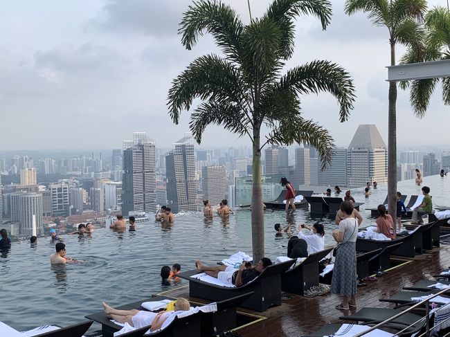 マリーナベイサンズのプールへ シンガポール シンガポール の旅行記 ブログ By パリが楽しいさん フォートラベル