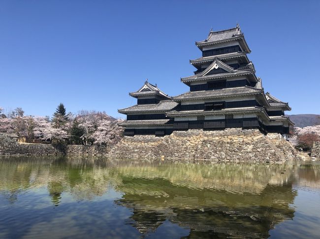 諏訪湖の次は松本城の桜。<br /><br />高遠の桜があまりにも立派だったので・・・