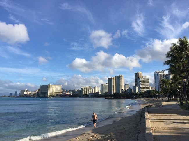 3月に家族でハワイ島に行ったばかりでしたが、一年前に7月の激安チケットを先に抑えてしまっていたので～<br />また、ワイキキビーチの砂が波の浸食で大きくダメージを受けている事が以前から問題視されており、ついに2019  年秋から大規模改修に入るとのニュースもあり、初めてハワイで出逢った心ときめくビーチの姿が変わるとあってはもう一度行くっきゃないっしょー！！！！<br /> 子供達も主人もハワイ島イチオシですが、今回はオアフ島の中でも我が家では未開拓な場所を中心にホロホロと～<br />エアーはもちろん！このところお世話になりっぱなしのLCCエアアジアで。宿泊先はこれまたオアフ島滞在時にリピートしているキャプテンクックさんでお世話になりました。 すべて個人手配です。<br />2019.7/19～25までの5泊7日の旅。良かったら一緒に旅してみて下さい。