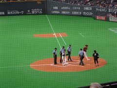 日本ハムファイターズin札幌ドーム