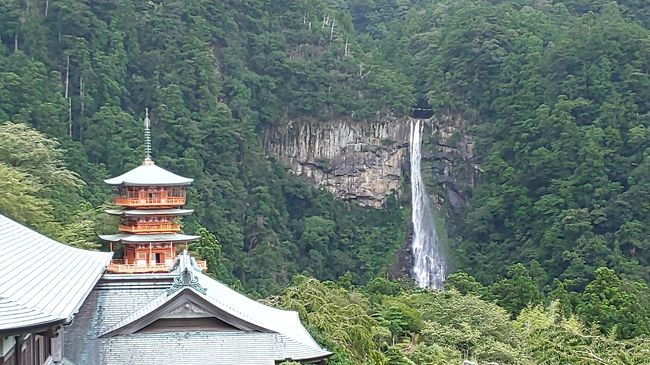 山の日に海へ…<br /><br />、の予定が台風により中止。<br />熊野三山巡りへと導かれました。<br />