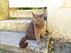 ポアティエ♪サント･ラドゴンド教会に金色の目をした不思議なネコがいた♪2019年５月フランス ロワール地域他８泊１０日(個人旅行)１６７