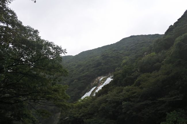 母と二人旅行でした。<br />3日に飛行機で屋久島入りしました。<br />ちょうど台風が来ていて、喜界島行きの便が欠航したりしていましたが、幸い屋久島行きは飛んでくれました。<br />3日の夜に島の東側を掠めていった感じでした。<br />そんな感じで3日は東京→鹿児島→屋久島の移動のみに費やし、4日にレンタカーで島を安房から時計回りに一周しました。<br />主に仮面ライダー響鬼のロケ地を見ました。<br /><br />レンタルはオリックスレンタカーさんにて。<br />この日は雨が降ったり止んだりでした。