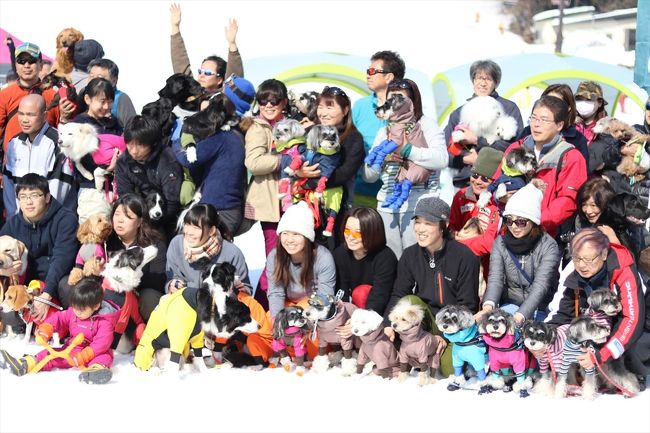 年2回、冬と夏にある白馬ワンワン運動会に参加してきました。<br />このワンワン運動会はワンコと一緒に運動をするのがメインなので、ワンコと触れ合うのが好きな人はオススメです。 <br />
