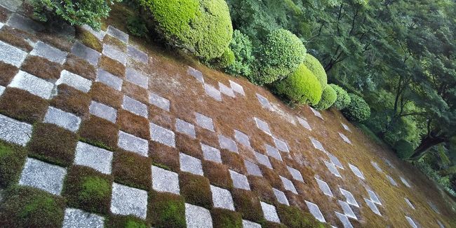 お盆に子供たちを実家に送り込み、<br />気分転換に京都に行って来ました。