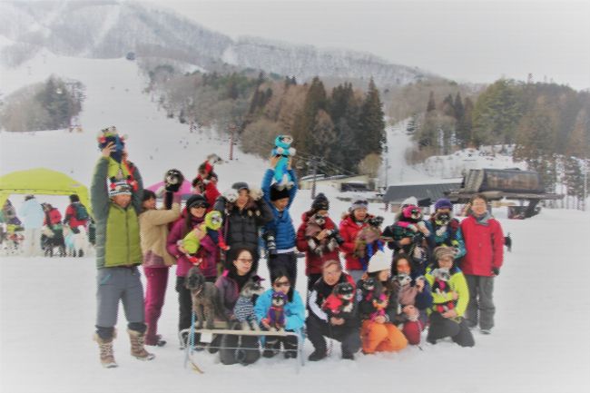 年2回、冬と夏にある白馬ワンワン運動会に参加してきました。<br /> 今回は一泊2日の小旅行です。グーちゃんと初スキーに挑戦します。