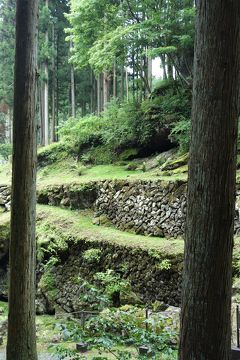 お盆休みも混雑回避☆ツレと行く上州への旅 2泊3日〈熊も来る世界遺産と山でイルカ発見の第2日目〉