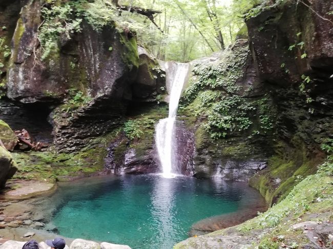 夏休みのにぎやかな時期は旅行を控えるシニア夫婦(認めたくない~!!)ですが・・・<br /><br />栃木県鬼怒川温泉に二泊して、自然を楽しみ森林浴をしてきました。<br /><br />ホテルのスタッフから聞いて初めて知った「おしらじの滝」<br />知る人ぞ知る幻の滝だそうです!<br /><br />「見られたらラッキーです」<br />ラッキーでした(*^-^*)<br /><br /><br /><br /><br />