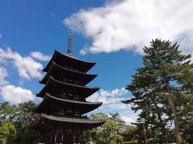  年配の上司のすすめにより、遅ればせながら神仏霊場巡拝をはじめることにしてみました。こちらは神仏霊場巡拝に特化した旅行記になります。霊場第1番から載せるべきか迷いましたが、とりあえずのところは巡拝順に記しておきたいと思います。<br /> 強行軍が苦手なので、亀の歩みとなりそうです。のんびりと年月をかけて巡拝し、そのなかで祖父母の霊を慰めることができればいいかなあと思っています。よろしくお願いいたします。<br /><br />【令和元年】<br />〈8/5(月)〉<br />第14番〈奈良/鎮護の道/1番〉『東大寺』<br />第16番〈奈良/鎮護の道/3番〉『興福寺』<br /><br />〈8/6(火)〉<br />第43番〈奈良/鎮護の道/30番〉『元興寺』<br /><br />【令和二年】<br />〈7/24(金)〉<br />第19番〈奈良/鎮護の道/6番〉『石上神宮』