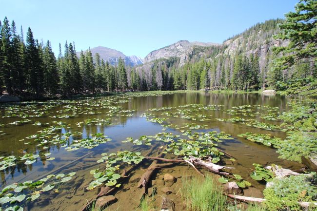 19年 コロラド州 ロッキーマウンテン国立公園2日目 Emerald Lake Trailとalberta Falls ロッキーマウンテン国立公園周辺 アメリカ の旅行記 ブログ By ぴろろんさん フォートラベル 19年 コロラド州 ロッキーマウンテン国立公園2日目 Emerald Lake Trailとalberta Falls ロッキーマウンテン国立公園周辺 アメリカ の旅行記 ブログ By ぴろろんさん フォートラベル