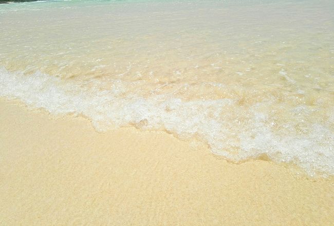 毎日毎日35℃を超す猛暑の2019年夏🌺<br /><br /><br /><br />今回あたしの夏🌺は……宮古島で過ごすことに致しましたぁ🌴<br /><br /><br /><br />今回の宮古島は3回目の訪問🎵<br /><br />2017年の前回も2016年の前々回もお天気に恵まれて最高だった宮古島🌴<br /><br />「2017年8月宮古島4泊6日の旅♪」<br />https://4travel.jp/travelogue_group/20975<br /><br />「2016年竹富島&石垣島&宮古島9泊10日の旅♪」<br />https://4travel.jp/travelogue_group/20978<br /><br /><br /><br /><br />今回は出発の10日ほど前からポコポコと次々に大きな台風🌀が発生しているという状況……😓💦💦💦<br /><br /><br /><br />あたし……巷で有名な雨オキャマ……☔<br /><br /><br />今回こそ台風🌀にブチ当たりそうな予感がヒシヒシと感じられる夏休み……😓💦💦💦<br /><br /><br /><br />会社の人には「台風🌀で帰れなくなるかもだからヨロシコォ~➰👋😃」なんてカジュアルに出発しましたぁ~🙋💨💨💨<br /><br /><br /><br /><br />今回の旅程はこんな感じですぅ🎵<br /><br />8/10 羽田12:55➡那覇15:30 那覇泊<br />8/11 那覇でプラプラ 那覇16:55➡宮古17:45 宮古島泊<br />8/12 ビーチでノンビリ 宮古島泊<br />8/13 ビーチでマッタリ 宮古島泊<br />8/14 ビーチでホッコリ 宮古島泊<br />8/15 ビーチでユルユル 宮古島泊<br />8/16 ビーチでダラダラ 宮古島泊<br />8/17 ビーチでトロトロ 宮古島泊<br />8/18 お土産爆買い 宮古15:35➡羽田18:25<br />その後……会社で世捨て人……😅💦<br /><br /><br />オキャマのヘッポコ旅日記をご覧頂いてらっしゃる方には、いつも通りの平常運転の✨🌴🌺✨バカンス✨🌴🌺✨の過ごし方でございますぅ🎵<br /><br /><br /><br />それでは、今回もチマチマ書いていきますので宜しくお願い致しますぅ……🙇<br /><br /><br /><br />①「2019年夏休み♪誕生日を那覇で過ごすby オキャマ一人旅♪」<br />https://4travel.jp/travelogue/11527498<br /><br />②「2019年夏休み♪宮古島で大好きなビーチへby オキャマ一人旅♪」⬅こちらですぅ🎵<br /><br /><br /><br />
