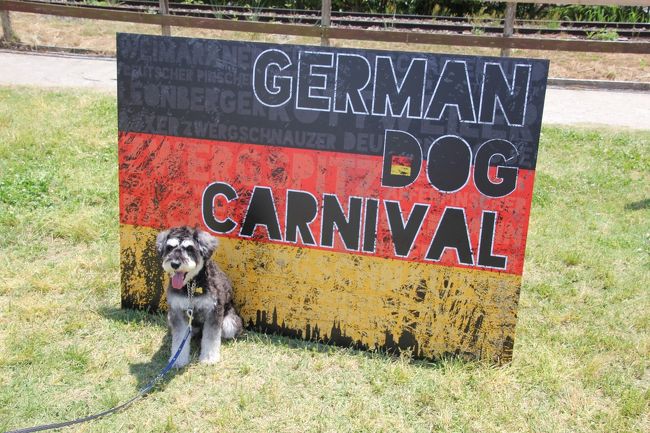 German Dog Carnival<br />ワンコのカーニバルが茨城であるということで「こもれび森のイバライド」へ行ってきました。