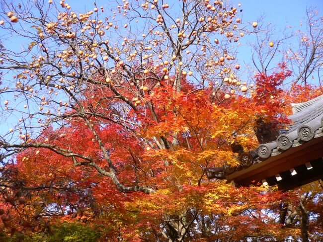 シニアとなり、自由に時間が使えるようになった今、再訪の旅を楽しんでいます。思い出の旅シリーズとして旅行記が成立する写真の枚数があるものを記念として、この場所に保存したいと思います。この旅行は父と友人と三人で紅葉を楽しみに関西へ行った時のものです。昔訪れた頃の様子を懐かしんだり、現在の様子との比較したりといった別の楽しみ方もあるかと思います。よろしかったら目を通してみて下さい。<br /><br />