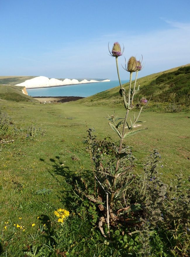 白亜の断崖セブン シスターズと古城が残る坂の街ルイス セブン シスターズ周辺 イギリス の旅行記 ブログ By And Relaxさん フォートラベル 白亜の断崖セブン シスターズと古城が残る坂の街ルイス セブン シスターズ周辺 イギリス の旅行記 ブログ By And Relaxさん フォートラベル