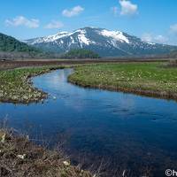 水芭蕉の尾瀬　【前編】鳩待峠～尾瀬沼