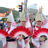 やっぱり踊りはやめられない　踊る阿呆にみる私　16年振りの阿波踊り中止！　徳島阿波踊り2019