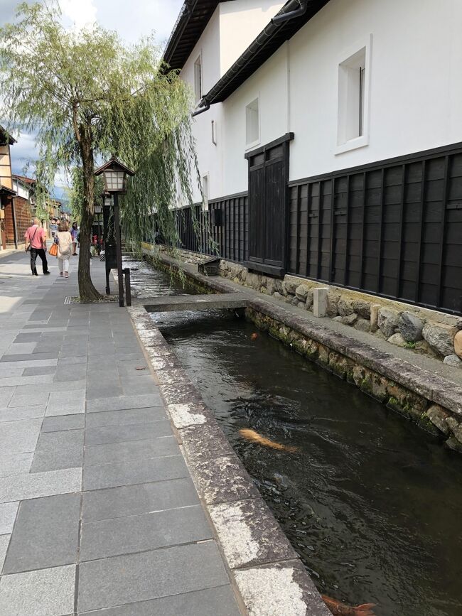 8月6日　<br />東京駅から新幹線のかがやきに乗って富山で &quot;特急ひだ&quot; に乗り換え　飛騨古川駅に到着。<br />鯉の泳ぐ瀬戸川と白壁土蔵の町を散策。<br />川沿いの老舗料亭旅館に宿泊。<br />予約していたお店で夕食の飛騨牛に舌鼓。<br />8月7日<br />旅館で趣のある朝食を楽しむ。<br />”君の名は””ゆかりの甘味屋で焼き最中を食べ、趣のある珈琲店でゆったりし　ランチセットの飛騨牛のビーフカレーに満足し岐路に。