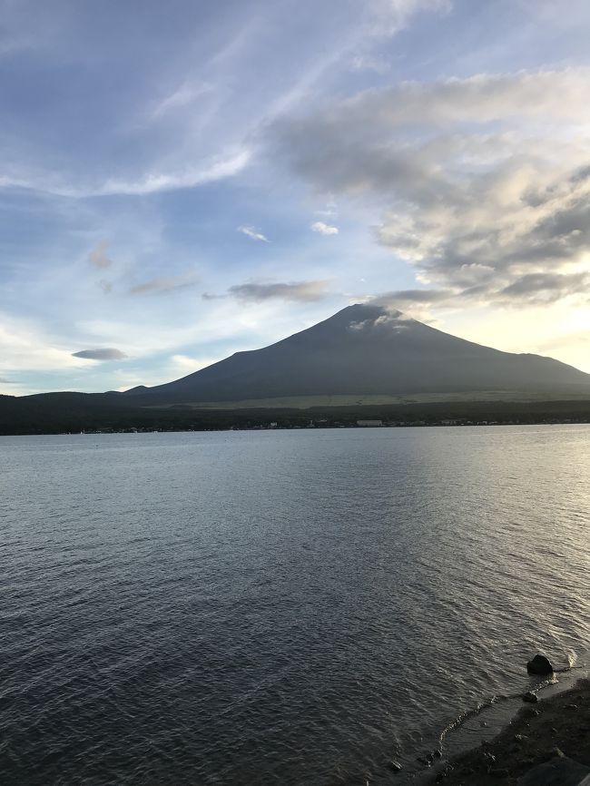 1日目<br />富士サファリパーク、山中湖散歩、ホテルのプール<br />エクシブ山中湖泊<br />2日目<br />ホテルのプール、花の都公園<br />帰路へ