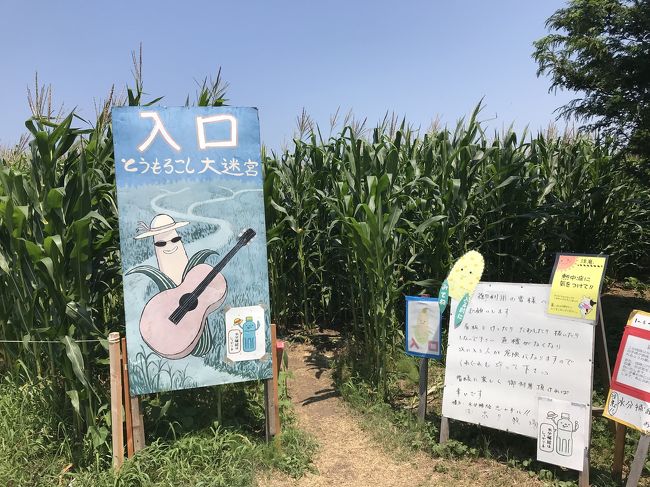 千里浜海岸ドライブした後に津幡へひまわり村、ホリ牧場の後倶利伽羅トンネル越えて隣の富山へ行き能越道で帰る。行ったとこ全部無料。のと里山海道、能越道も無料。