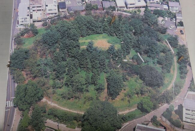 2019初夏、鶴舞公園と古墳(2)：紫陽花の散歩道、錦木の新緑、ダリア、八幡山古墳