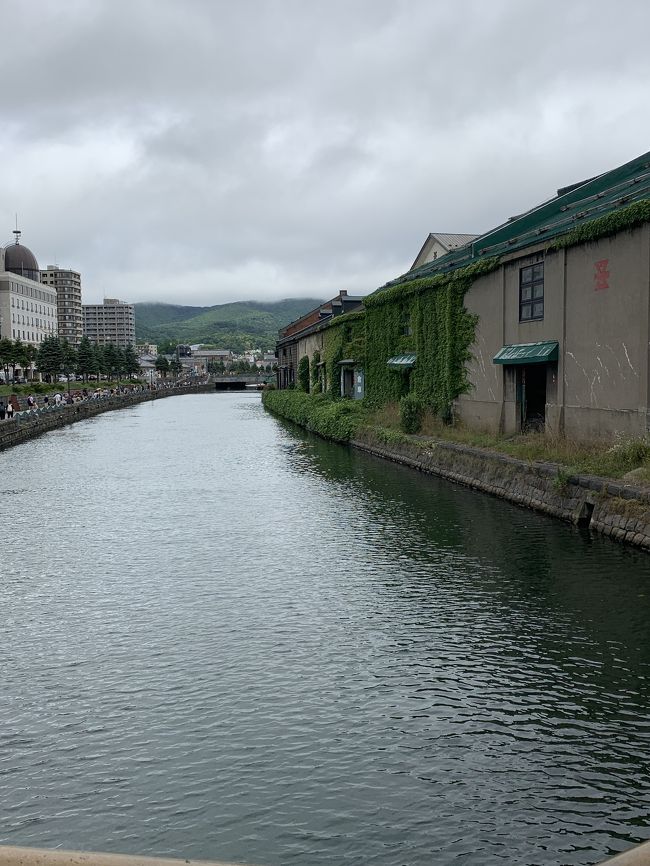 夏休みに友人から誘われた伊東。<br />姉夫婦から誘われた北海道。<br /><br />どっちも行きたーい❗️<br /><br />どっちも行ったよー❗️<br /><br />北海道2泊3日へ✈️<br />2日目は朝の札幌場外市場から小樽、<br />そしてまたまた大通り公園のビアガーデンへ