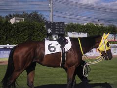 ムツゴロウ　競馬三昧その２　門別競馬場編