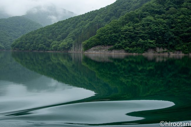 新緑の徳山ダム