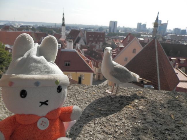 グーちゃんだよ。<br />タリン旧市街の丘の上にきたよ。<br />ここにはタリンご自慢の建造物がいっぱい!<br />アレクサンドルネフスキー大聖堂に<br />聖母マリア大聖堂(トームキリク)・・・<br />そして、この丘の上からの眺めはどうなの?<br />展望台の主のカモメさんと意気投合し・・・。