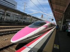 姫路で新幹線を撮る+灘菊+白鷺ではなく白鳥城！