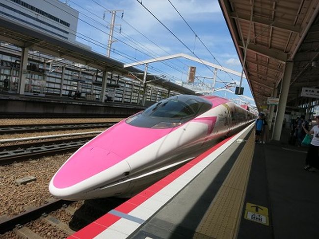 姫路で新幹線を撮る+灘菊+白鷺ではなく白鳥城！