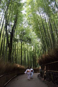 真夏の京都　２日目　後半