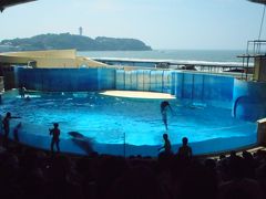 ２０１９年　８月旧盆　江の島・・・・・①新江の島水族館