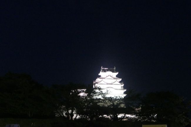 再度日が暮れてから、姫路城のライトアップを見に行きました。