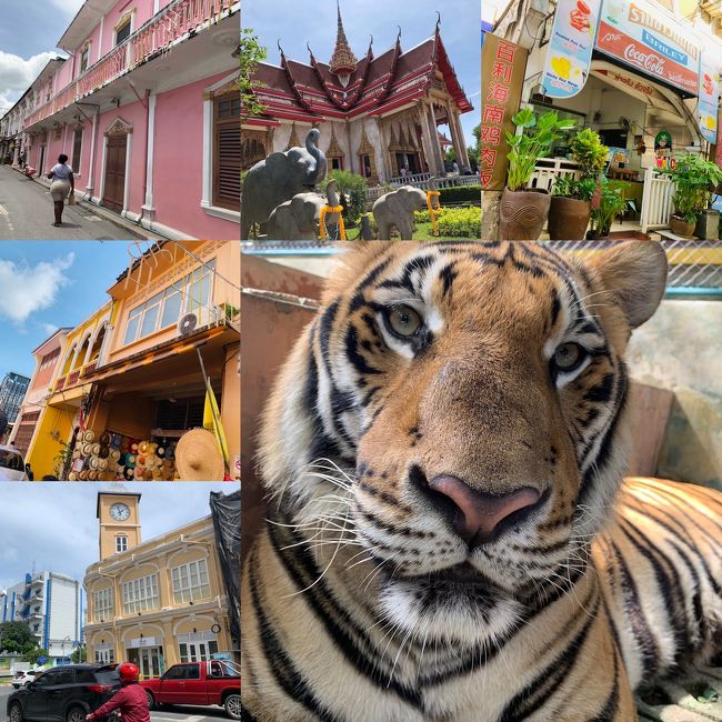 プーケット家族旅行 2019 3日目 プーケット観光編