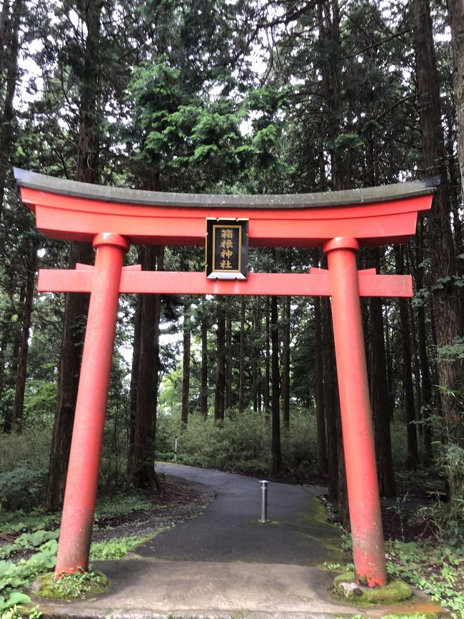 家族で箱根に泊まり箱根神社に行ってきました。<br />緑に囲まれていて、空気も水も美味しくて、仕事での疲れてる身体と心が癒されました。