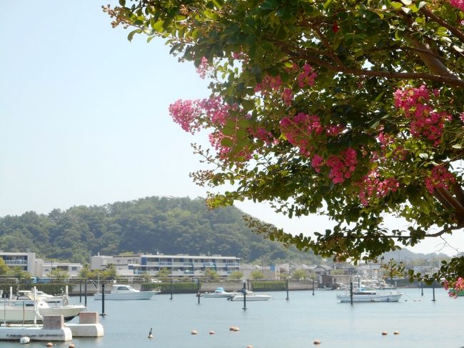 夏らしく、海辺に行くことにした。以前より行ってみたいと思っていた、横浜の金沢に行くことにしたが、久しぶりの金沢八景は駅が大きく変わっていた。<br /> 駅のすぐそばにある平潟湾沿いを歩き、海浜公園の砂浜を見る。炎天下ではあるが、海辺は潮風が涼しげで心地よい。<br /> 今回もメインは電車の旅で、京急の快速特急と、横浜シーサイドラインに乗るのが主な目的。シーズンらしく列車は混み、海もにぎわっていた。<br /> 詳細は写真参照。